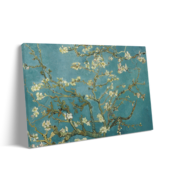ALMOND BLOSSOM